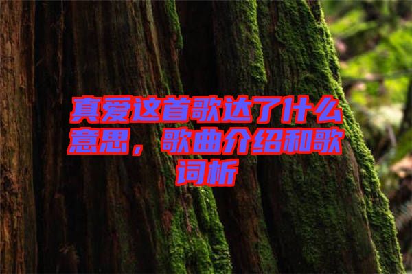 真愛這首歌達(dá)了什么意思,歌曲介紹和歌詞析