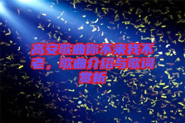 高安歌曲你不來我不老,歌曲介紹與歌詞賞析
