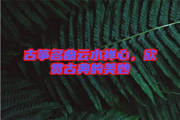 古箏名曲云水禪心,欣賞古典的美妙