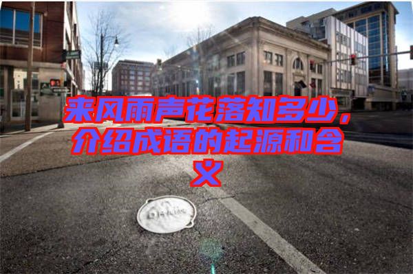 來風雨聲花落知多少，介紹成語的起源和含義