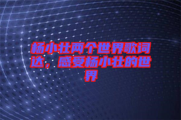 楊小壯兩個世界歌詞達,感受楊小壯的世界