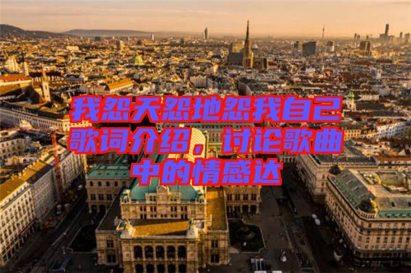 我怨天怨地怨我自己歌詞介紹，討論歌曲中的情感達