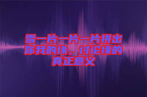 雪一片一片一片拼出你我的緣,討論緣的真正意義