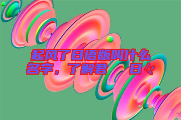 起風(fēng)了日語(yǔ)版叫什么名字，了解君といた日々