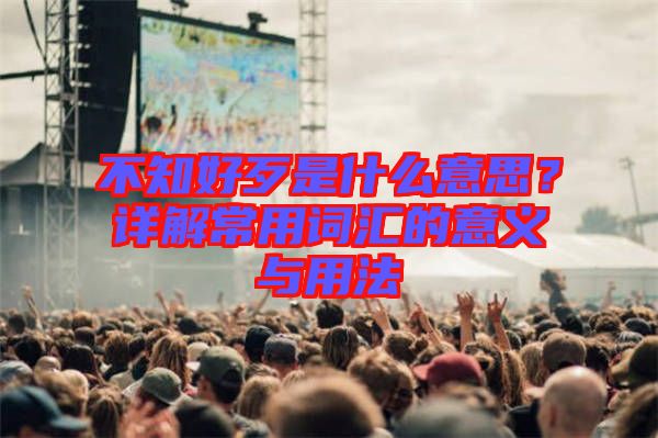 不知好歹是什么意思?詳解常用詞匯的意義與用法