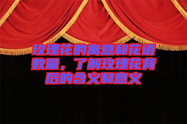 玫瑰花的寓意和花語數量,了解玫瑰花背后的含義和意義