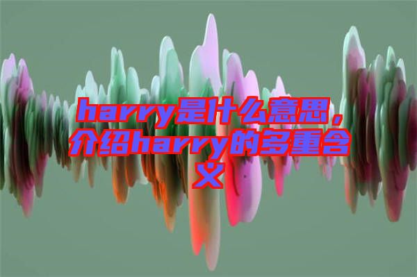 harry是什么意思，介紹harry的多重含義