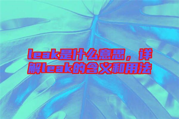 leak是什么意思,詳解leak的含義和用法