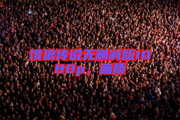 餓狼傳說無刪減版1080p,畫質