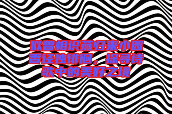 似曾相識燕歸來小園香徑獨徘徊,探尋詩歌中的美好之境