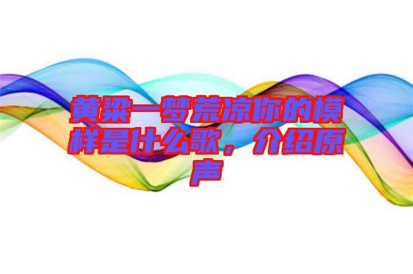 黃粱一夢荒涼你的模樣是什么歌,介紹原聲