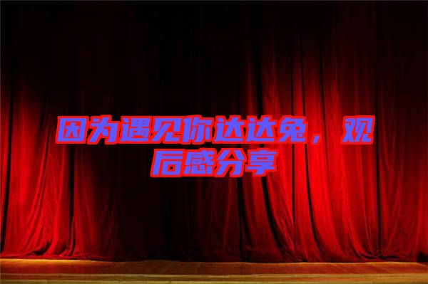 因為遇見你達達兔,觀后感分享