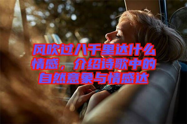 風吹過八千里達什么情感,介紹詩歌中的自然意象與情感達