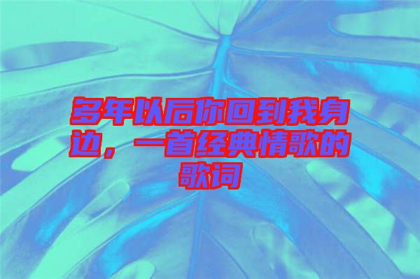 多年以后你回到我身邊,一首經(jīng)典情歌的歌詞