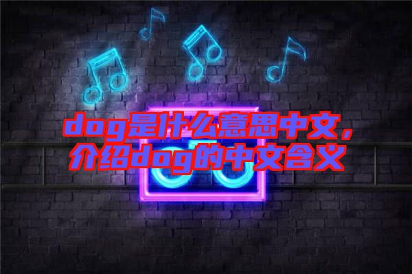 dog是什么意思中文,介紹dog的中文含義