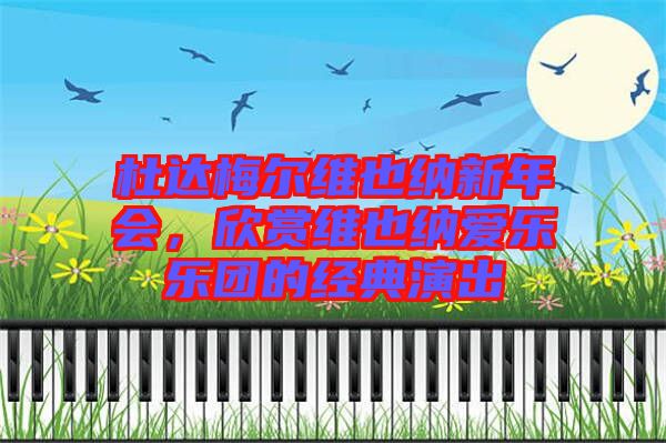 杜達(dá)梅爾維也納新年會(huì),欣賞維也納愛樂樂團(tuán)的經(jīng)典演出