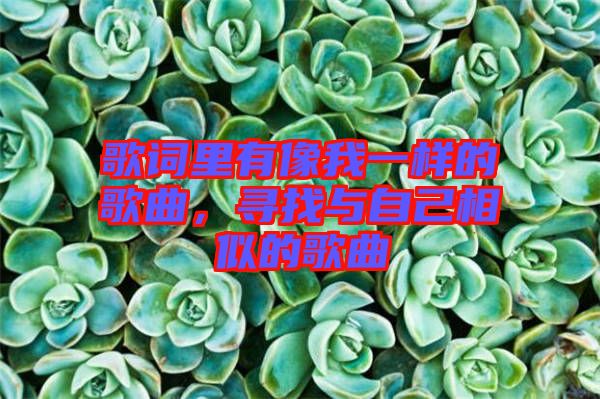 歌詞里有像我一樣的歌曲,尋找與自己相似的歌曲