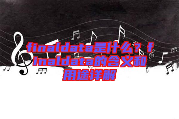 finaldata是什么?finaldata的含義和用途詳解