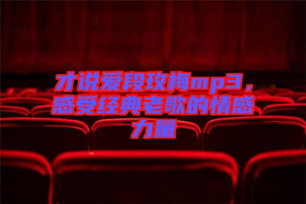 才說愛段玫梅mp3,感受經典老歌的情感力量