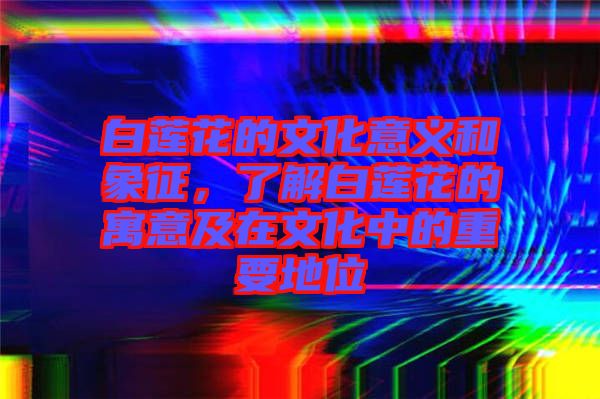 白蓮花的文化意義和象征，了解白蓮花的寓意及在文化中的重要地位