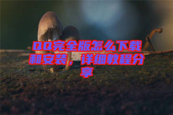 QQ完全版怎么下載和安裝,詳細(xì)教程分享