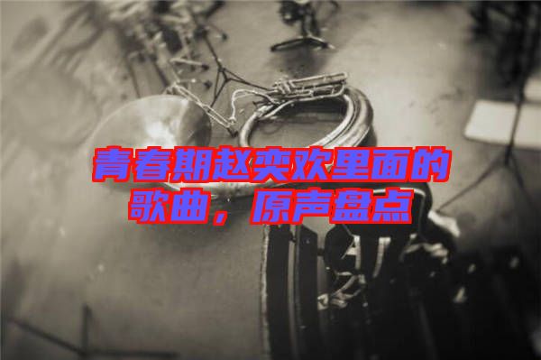 青春期趙奕歡里面的歌曲,原聲盤(pán)點(diǎn)