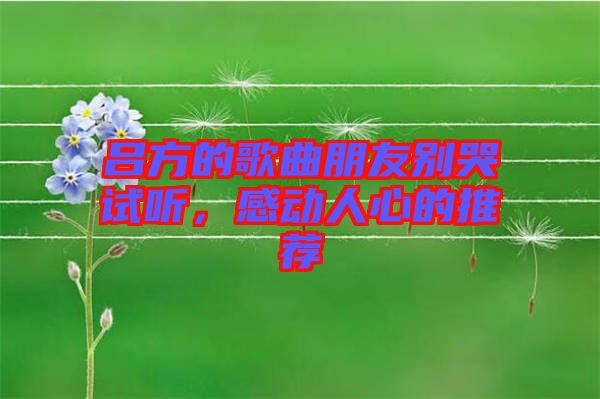 呂方的歌曲朋友別哭試聽,感動人心的推薦