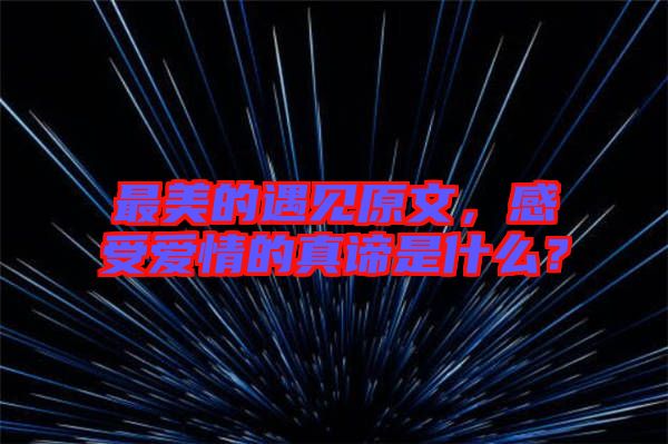 最美的遇見原文,感受愛情的真諦是什么?