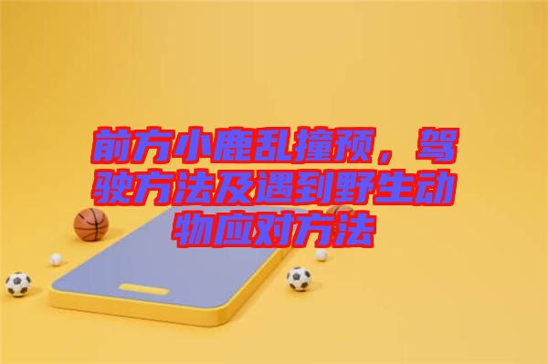 前方小鹿亂撞預(yù),駕駛方法及遇到野生動(dòng)物應(yīng)對(duì)方法