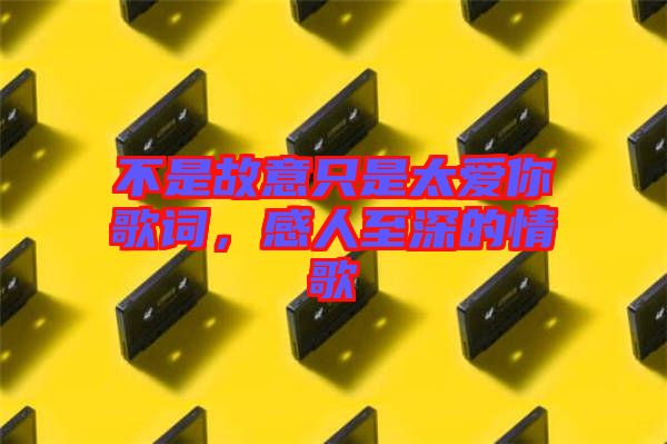 不是故意只是太愛你歌詞，感人至深的情歌