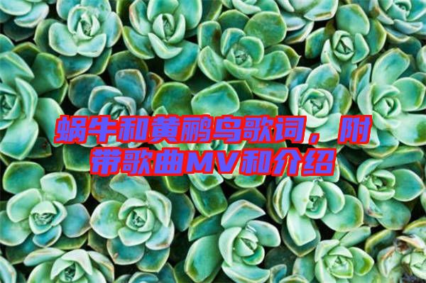 蝸牛和黃鸝鳥歌詞，附帶歌曲MV和介紹