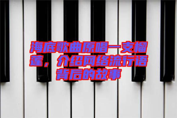 海底歌曲原唱一支榴蓮,介紹網(wǎng)絡流行語背后的故事