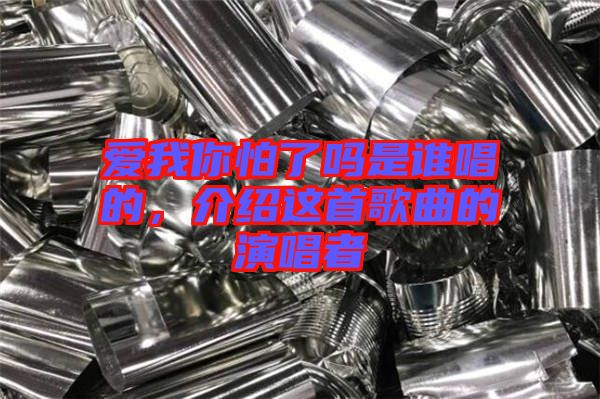 愛(ài)我你怕了嗎是誰(shuí)唱的,介紹這首歌曲的演唱者