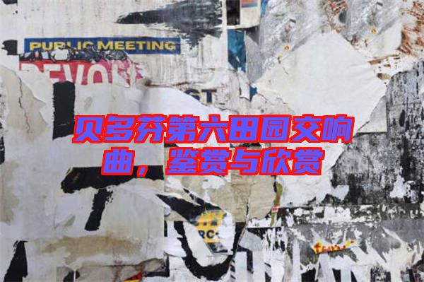 貝多芬第六田園交響曲,鑒賞與欣賞