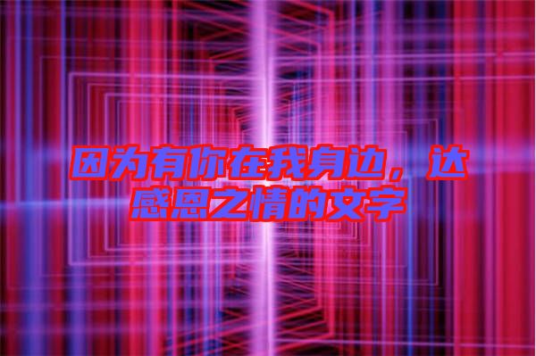 因?yàn)橛心阍谖疑磉?，達(dá)感恩之情的文字