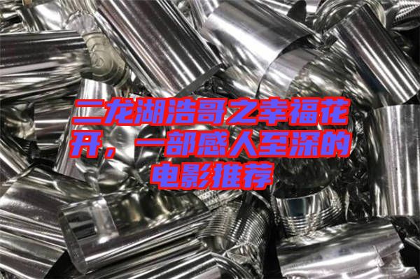 二龍湖浩哥之幸?；ㄩ_，一部感人至深的電影推薦