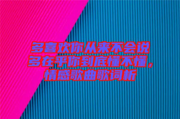 多喜歡你從來不會說多在乎你到底懂不懂,情感歌曲歌詞析