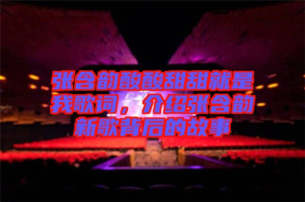 張含韻酸酸甜甜就是我歌詞,介紹張含韻新歌背后的故事