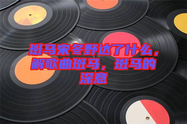 斑馬宋冬野達了什么，解歌曲斑馬，斑馬的深意