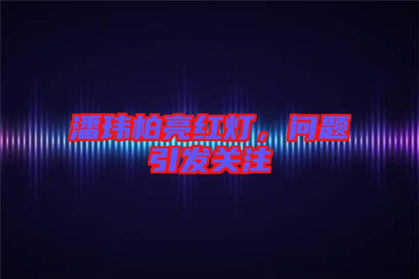 潘瑋柏亮紅燈,問題引發關注