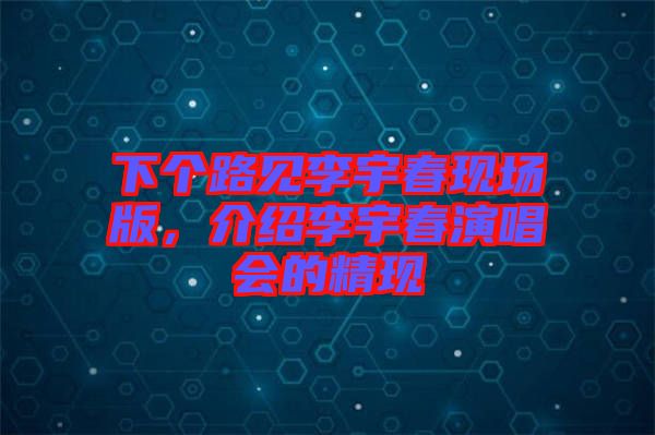 下個路見李宇春現場版,介紹李宇春演唱會的精現