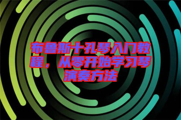 布魯斯十孔琴入門教程,從零開始學習琴演奏方法