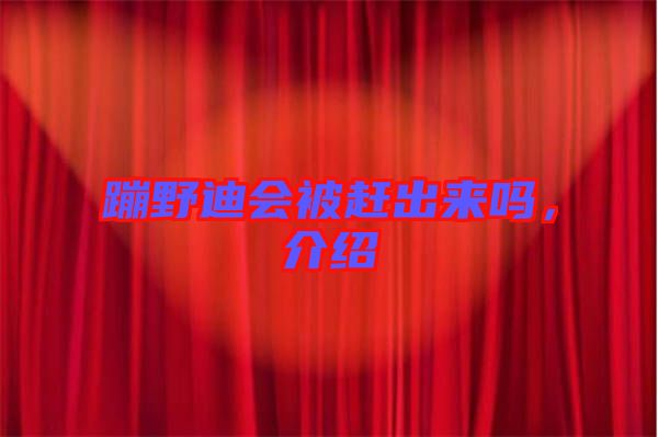 蹦野迪會被趕出來嗎,介紹