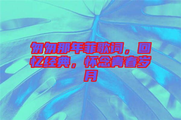 匆匆那年菲歌詞,回憶經典,懷念青春歲月