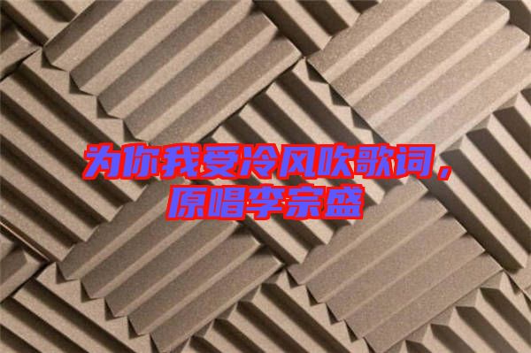 為你我受冷風吹歌詞,原唱李宗盛