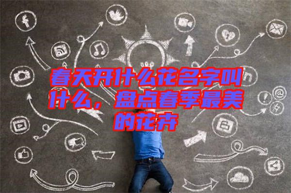 春天開什么花名字叫什么,盤點(diǎn)春季最美的花卉