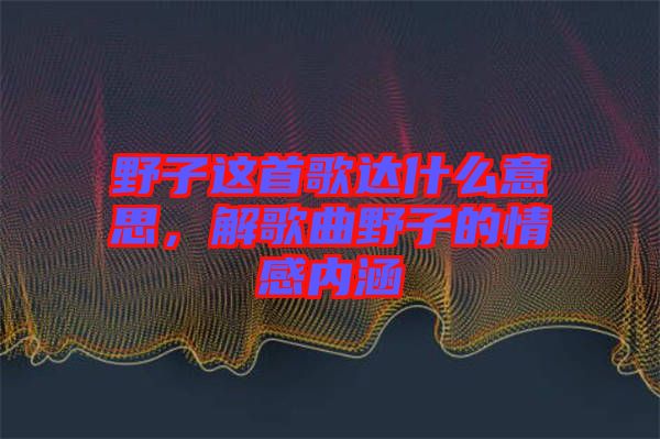 野子這首歌達什么意思，解歌曲野子的情感內(nèi)涵