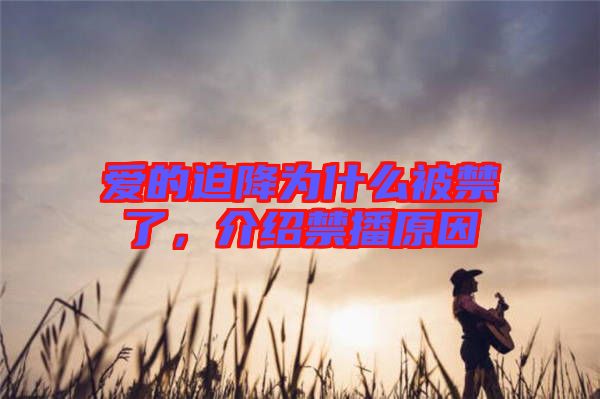 愛的迫降為什么被禁了，介紹禁播原因