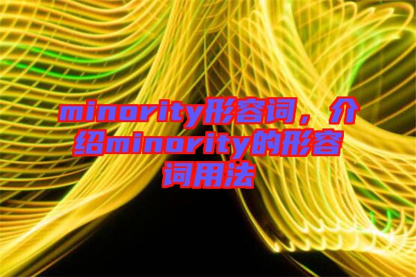 minority形容詞，介紹minority的形容詞用法