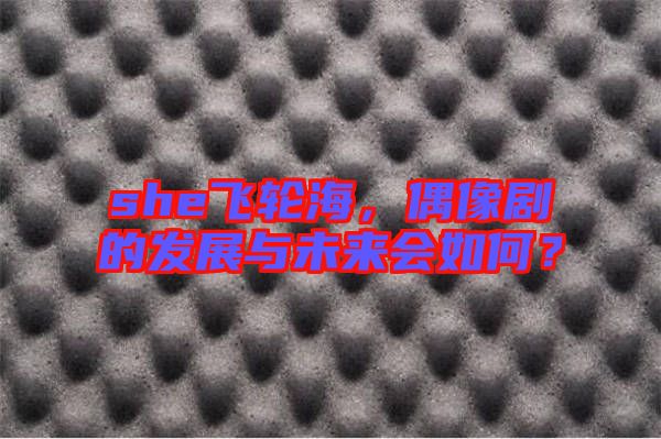 she飛輪海，偶像劇的發(fā)展與未來(lái)會(huì)如何？